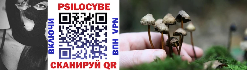 купить наркотики сайты  Палласовка  Галлюциногенные грибы ЛСД 